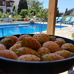 Villa Rena 4*