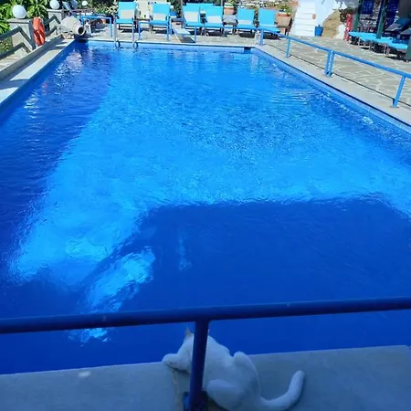 Villa Rena Apart Otel Batsi