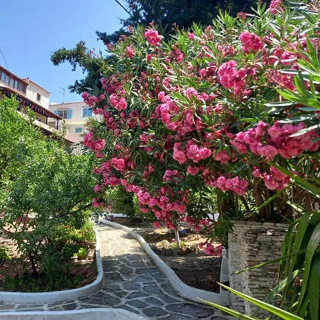 Villa Rena Aparthotel Batsi (Andros)