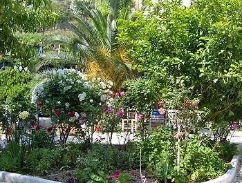 Rena Hotel apartamentowy